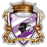 Политекнико