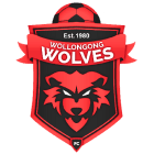 Вуллонгонг Вульвз