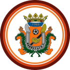 Акодетти U19