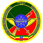 Дефенс Форс Эфиопия