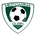 Царина Губин