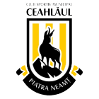 Чахлэул Пьятра-Нямц