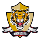 Тигрес Богота